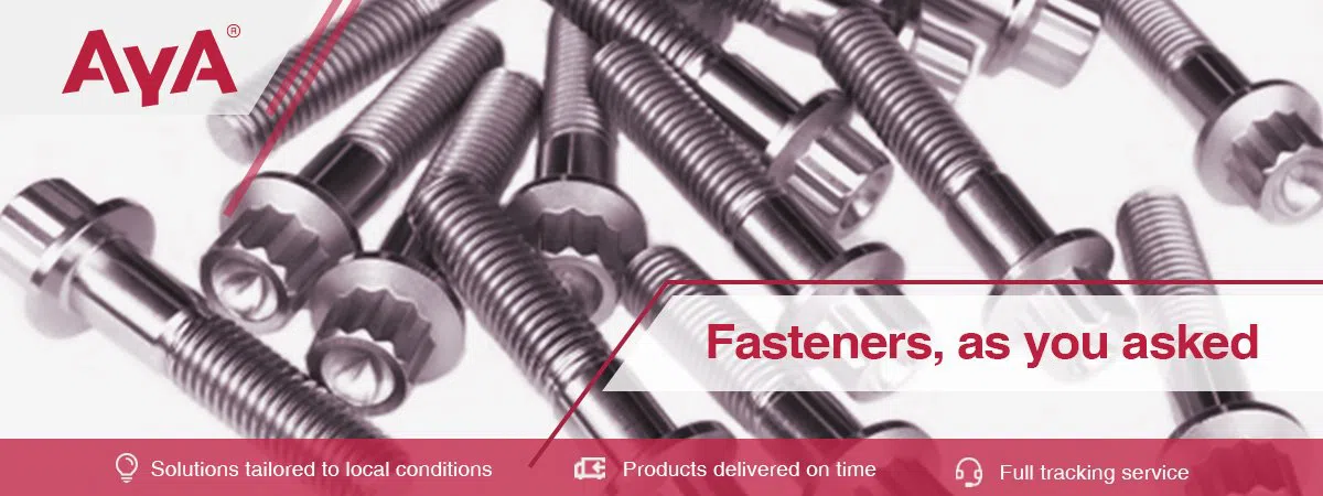Stainless 12 Point Bolts-AYA